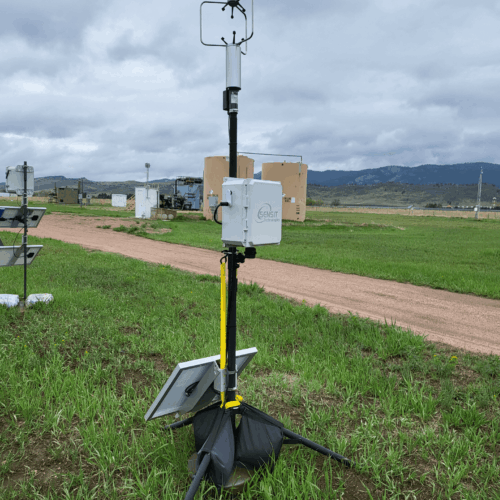 FMD_IntheField
